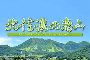 オンラインショップへ